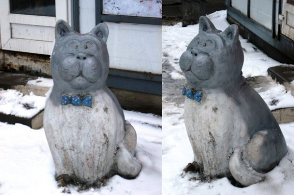 Легендарные питерские коты: как сложилась судьба самых знаменитых пушистых символов северной столицы