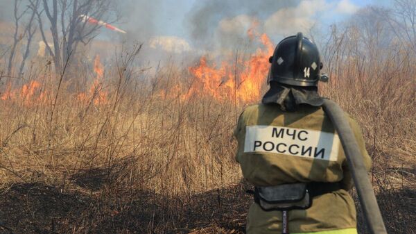 МЧС: во Владивостоке потушили два лесных возгорания на площади в шесть гектаров