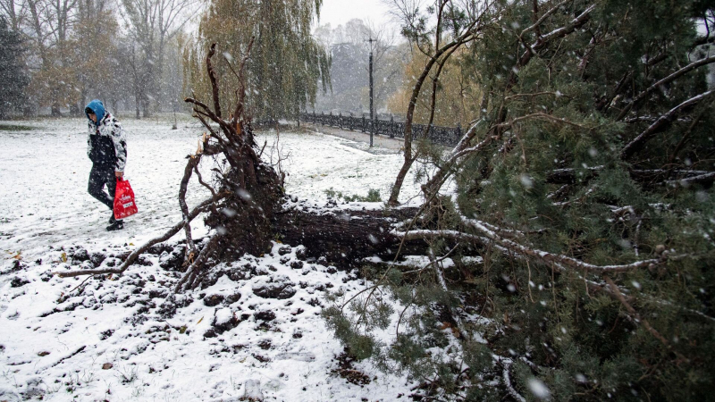 МЧС: ветер с порывами до 25 метров в секунду ожидается в Крыму в начале декабря