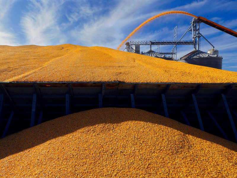FT: ЕС введет пошлины на зерно из России и Белоруссии в размере €95 за тонну