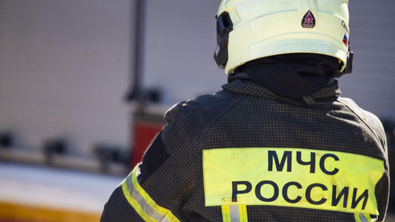Прокуратура: в Приморье произошел пожар на лесоперерабатывающем комплексе