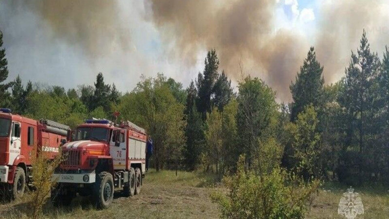 Площадь лесного пожара в Ростовской области увеличилась до 117 гектар