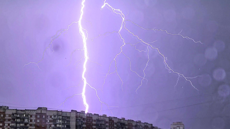 Ребенок и мужчина погибли при падении дерева во время грозы на пляже в Щелково