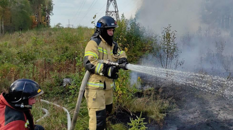 МЧС: площадь пожара в районе Ямного в Воронежской области достигла 20 гектаров