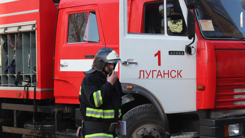 МЧС: пожар в воронежском селе Ямное локализовали на площади десяти гектаров