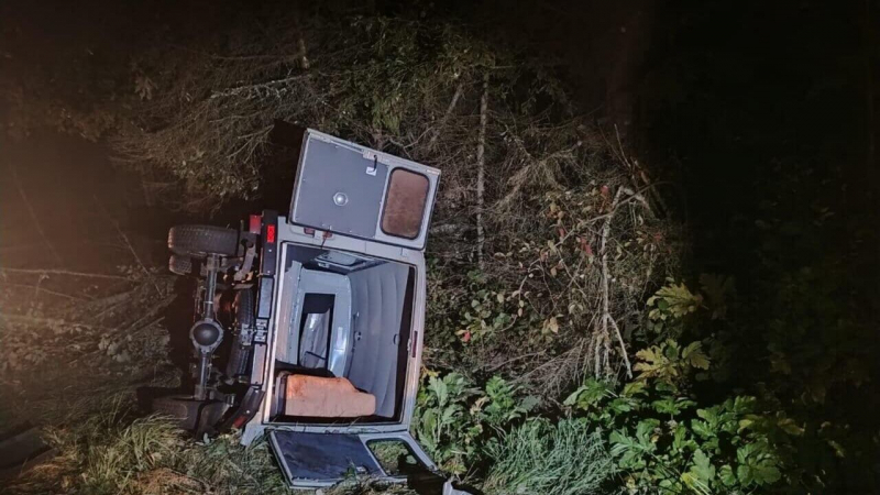 В Ленинградской области автомобиль скорой наехал на дерево, водитель погиб