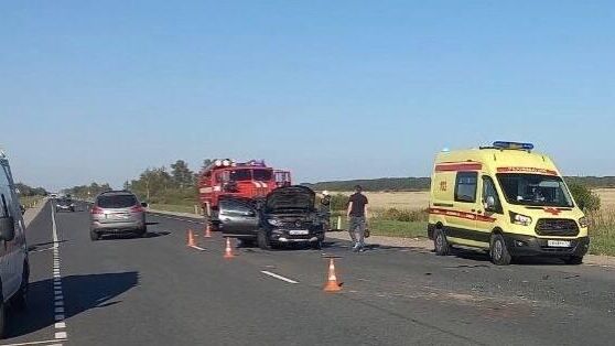 В Новгородской области водитель и пассажир Renault погибли в ДТП с трактором