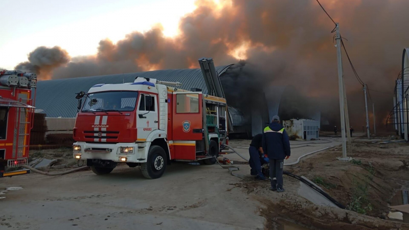 Пожар в Калининградской области полностью ликвидировали спасатели МЧС