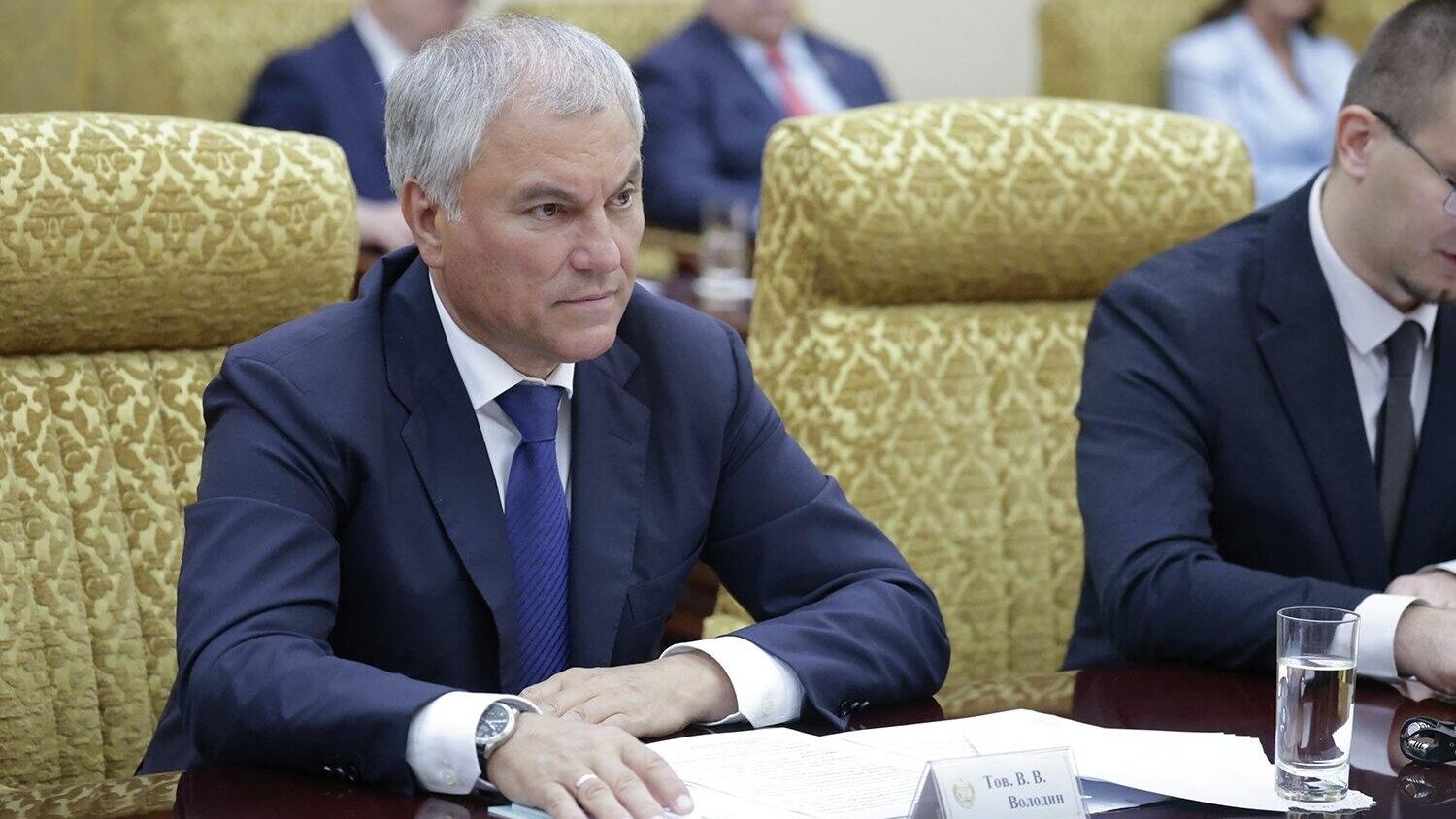 Володин: будущим поколениям в ЕС придется отвечать за решения по активам РФ