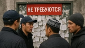 Этнобандитов возьмут под колпак. В России мигрантам устроят Среднюю Азию