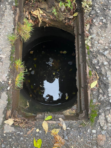 Студенческое общежитие в Москве хотят "отжать" в интересах застройщиков?