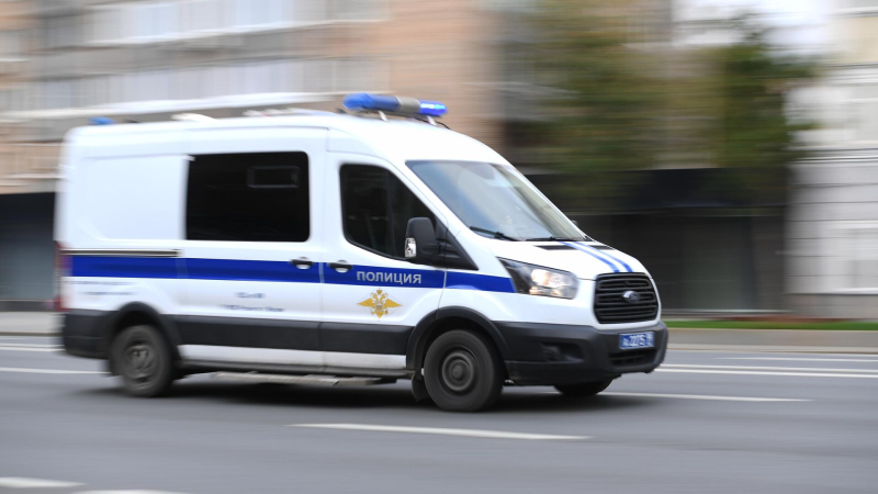 В Москве 9 человек обносили супермаркеты "Лента" с помощью детской коляски