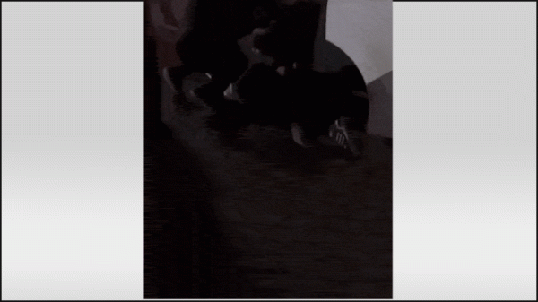 Мы не шутим: Мигрант и два нарика готовили покушение на Шойгу по заказу Зеленского. А вы верите?