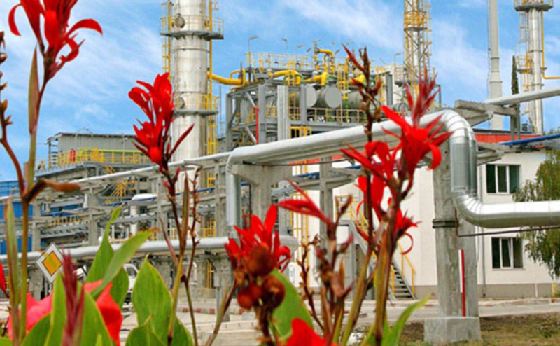 В Болгарии допустили падение правительства из-за санкций против ЛУКОЙЛа