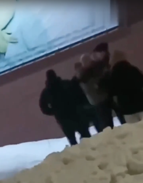 Кадр видео с дракой между подростками и полицейскими