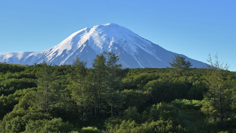 У берегов Камчатки за сутки зафиксировали десять афтершоков магнитудой до 4,9