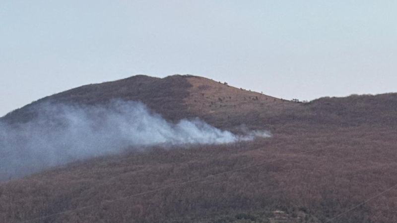 Лесной пожар в Новороссийске