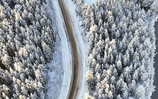 Как бюджетная политика свалила очередное правительство Болгарии