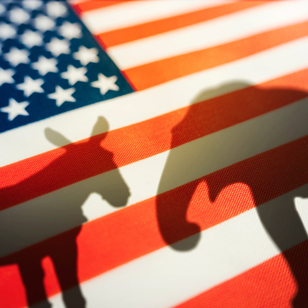 Маск предсказал 12 лет правления Трампа-Вэнса