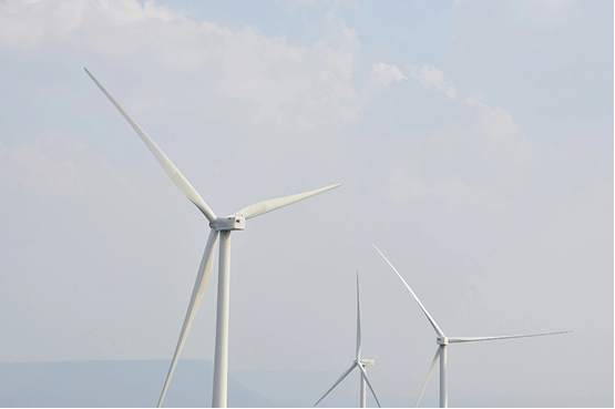 Дума подготовила запрет осужденным релокантам менять паспорта и жениться