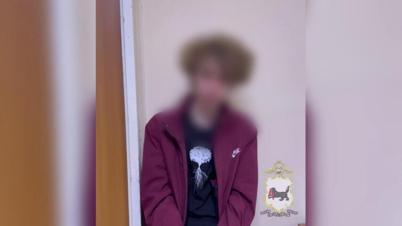 Подозреваемый в убийстве в городе Шелехово Иркутской области. Кадр видео